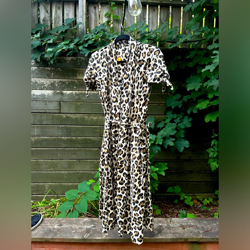 Zara Leopard dress